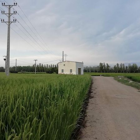 Apartament Gegant De Ferro Sant Jaume d'Enveja Zewnętrze zdjęcie